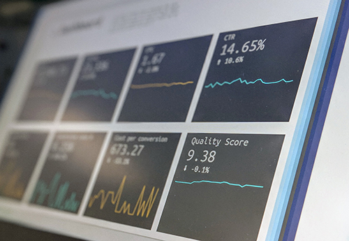 Vulnerability Assessment